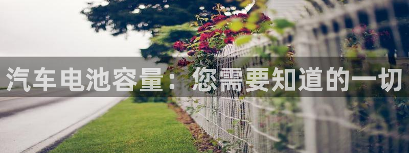优发国际这个平台怎么样啊