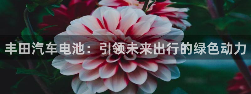 优发国际的官网是