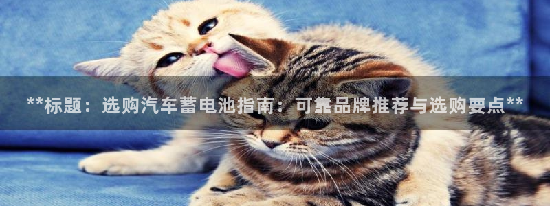 优发国际手机客户端怎么下载