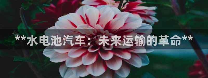 优发国际VIP网址