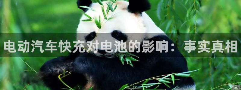 优发国际网官网址是多少