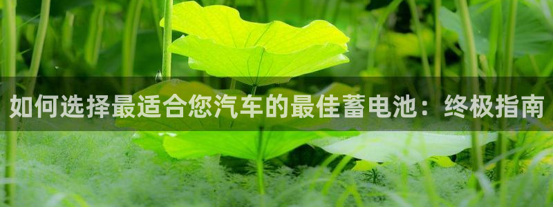 优发国际官方网