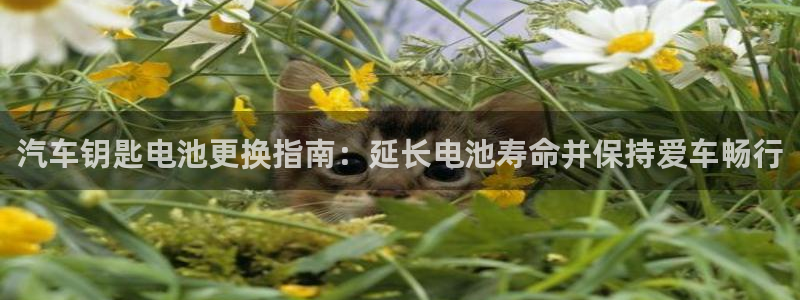 优发国际免费游戏下载