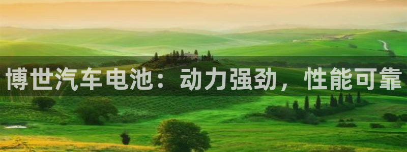 优发国际游戏n
