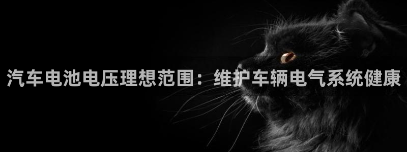 优发国际官网官方网址