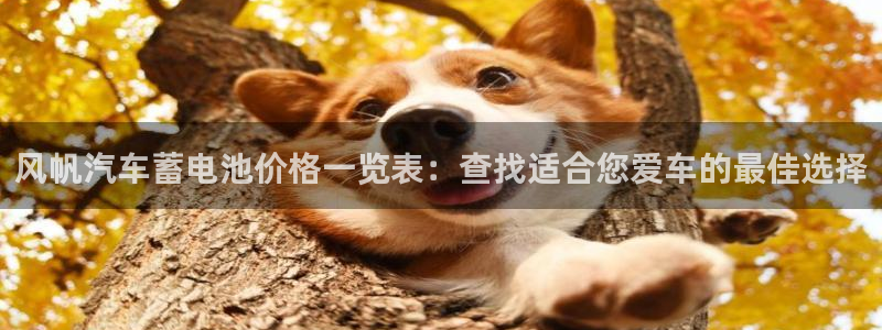 优发国际下载安装app