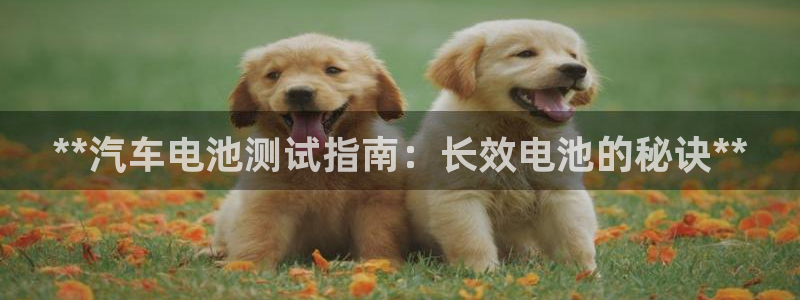 优发国际游戏官网