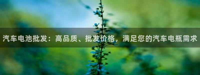 优发国际手机版官网下载