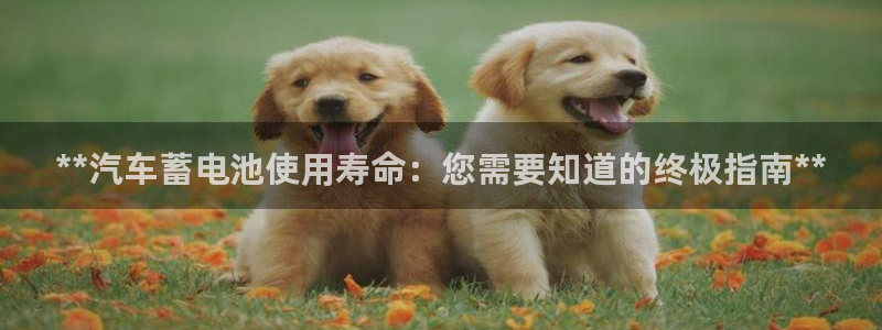 优发国际集团股份有限公司招聘