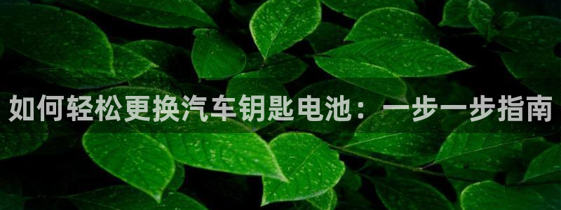 优发国际是什么
