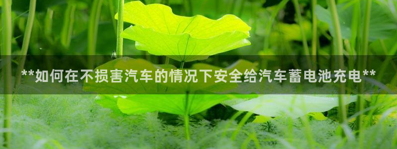 优发国际注册平台