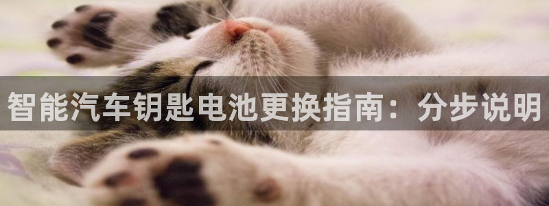 优发国际官网官方网址
