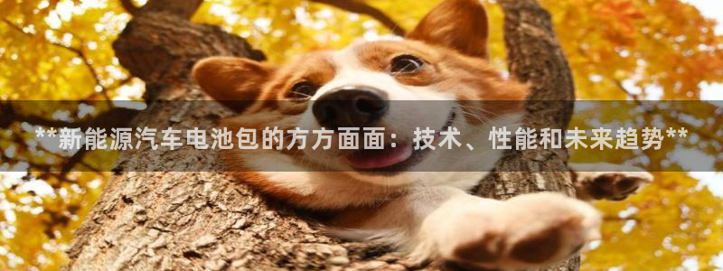 优发国际登录app