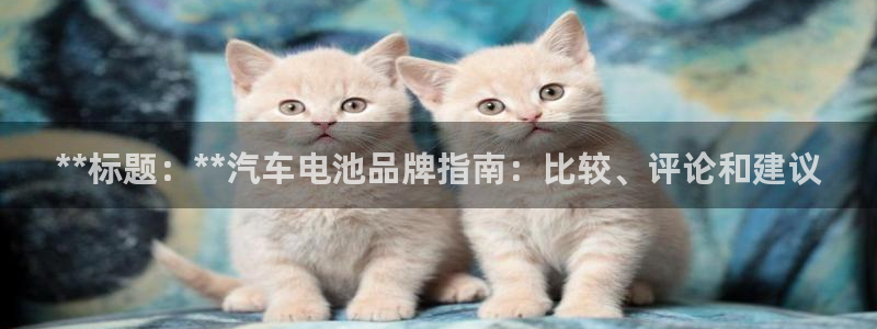 优发国际注册17