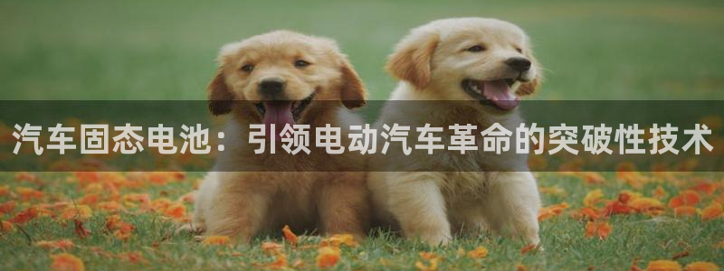 优发国际官网手机版下载苹果