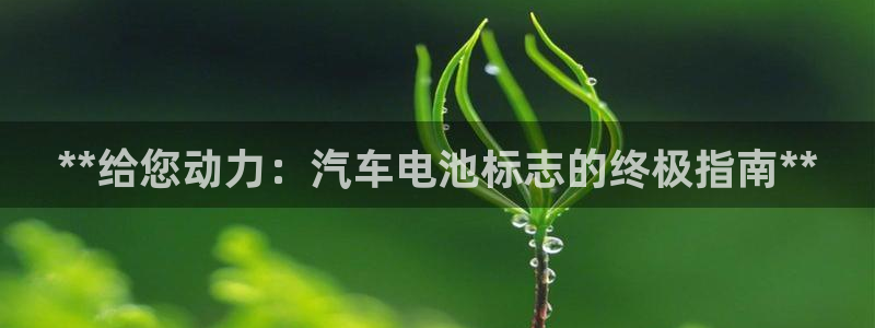 优发国际手机版下载官网