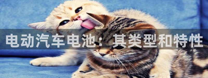 优发国际官方网平台
