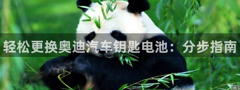 优发国际平台app下载安装