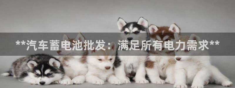 优发国际提现不了