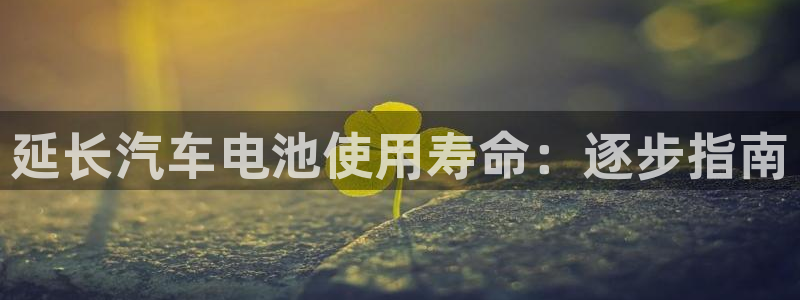 优发国际app官网下载安装手机版