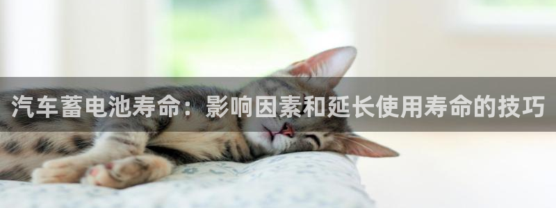 优发国际官方网平台登录