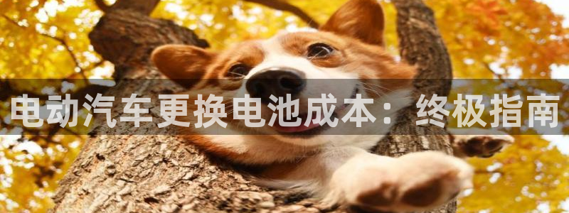 优发国际手机客户端怎么下载