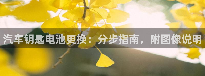 优发国际首页app