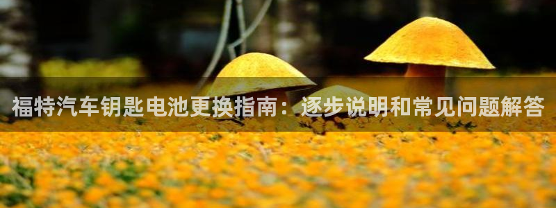 优发国际手机app下载地址
