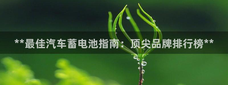 优发国际VIP网址