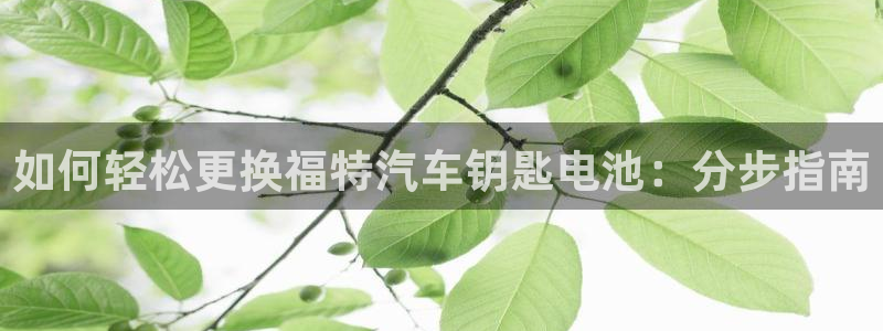 优发国际手机客户端怎么下载