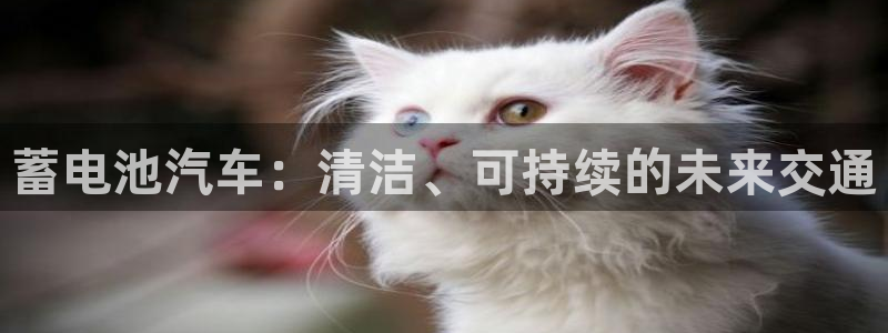 优发国际app官网下载安装