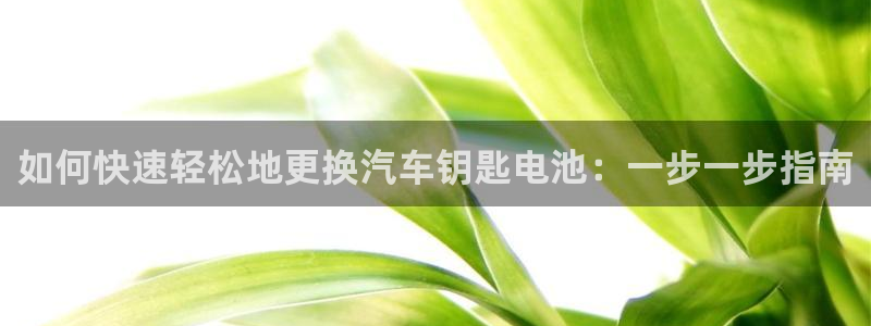 优发国际官网