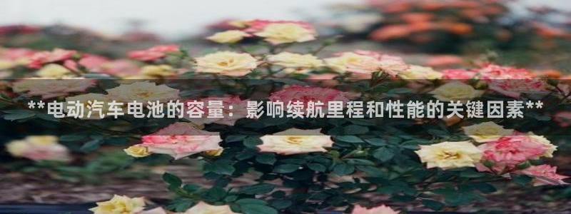 优发国际手机版网站官网