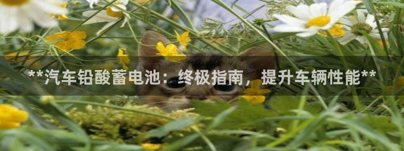 优发国际手机客户端下载安装不了
