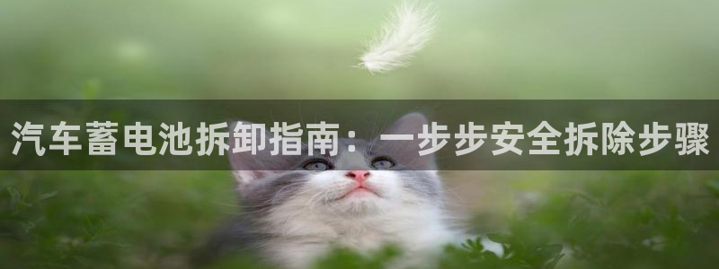 优发国际官网手机版下载安卓