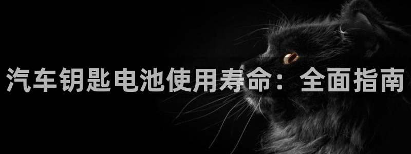 优发国际官方网平台登录