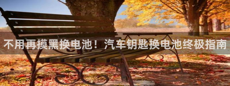 优发国际是大平台吗还是小平