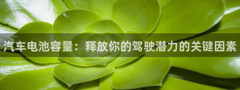 优发国际官网下载安装app