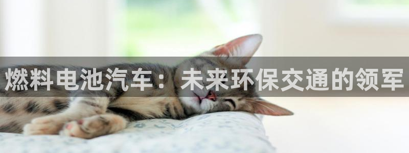 优发国际手机客户端下载安装