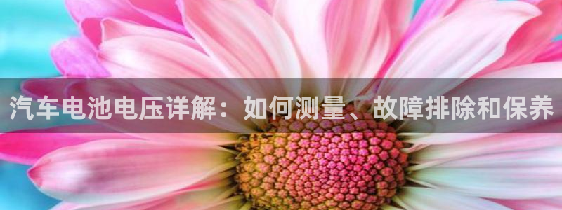 优发国际下载安装