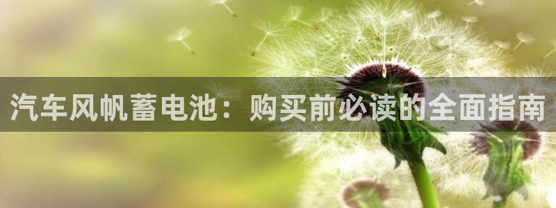 优发国际youfa