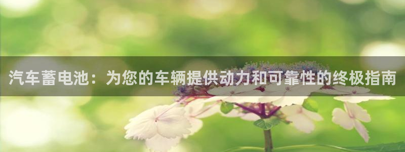 优发国际手机版客户端下载安装