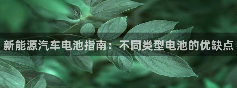优发国际是大平台吗