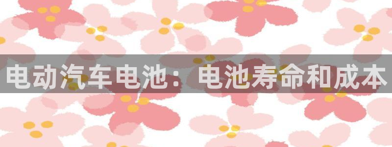 优发国际平台g80