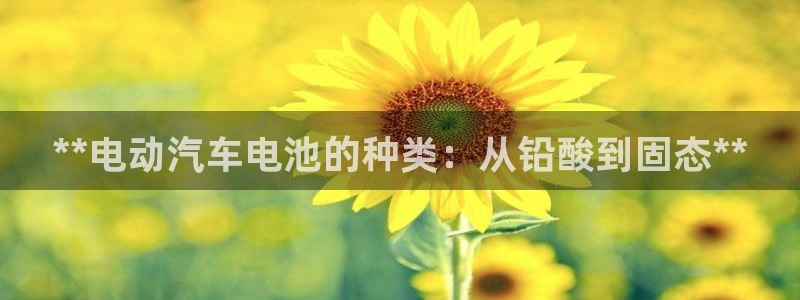 优发国际的官网是