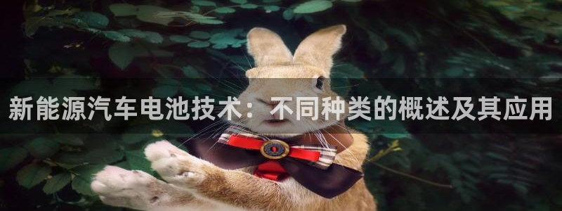 优发国际 干什么的