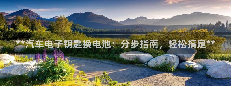 优发国际平台u8是什么公司