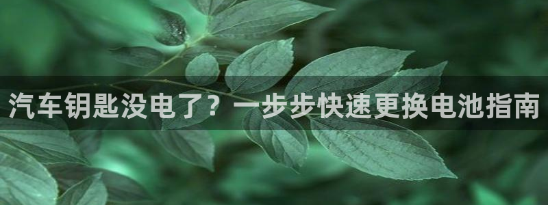 优发国际平台APP