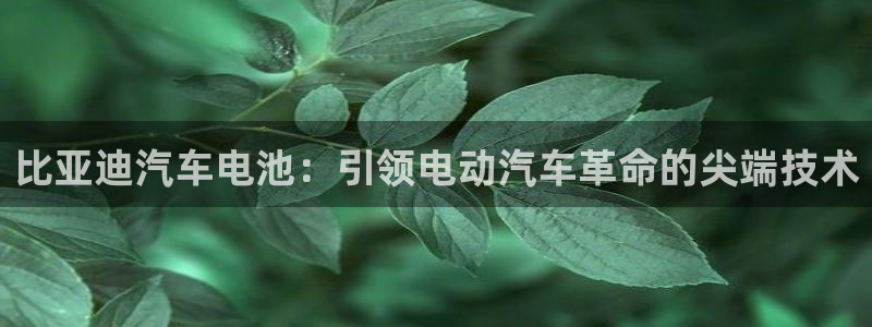 优发国际-触即发