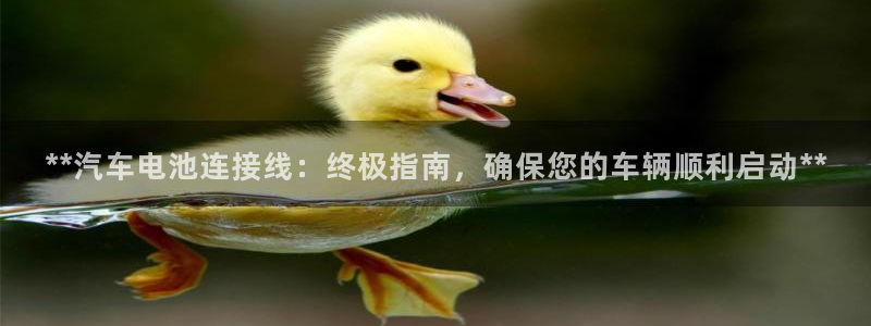 优发国际游戏官方网站入口